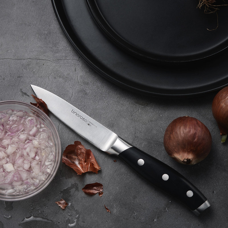 Linoroso 3.5'' Paring Knife & Reviews Wayfair